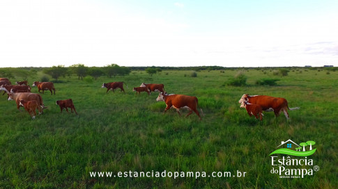 DOS EÓLICOS VIRA P FAZENDA_Moment.00_03_42_16.Quadro205_dbca8c30b7ff35a83484beff9904787ff1891ab2.jpg